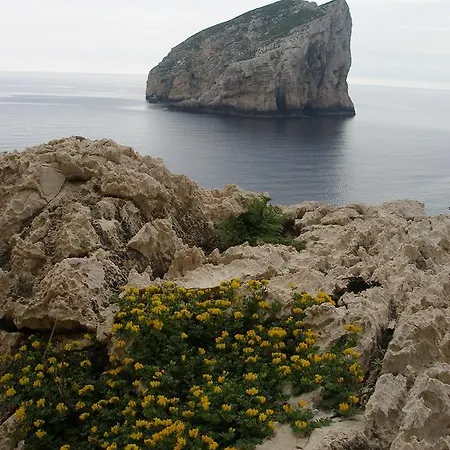 Giramondo Sardegna Affittacamere *