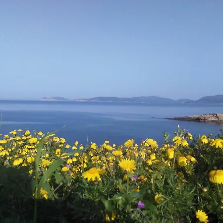 Giramondo Sardegna Affittacamere