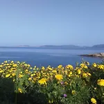 Giramondo Sardegna Affittacamere